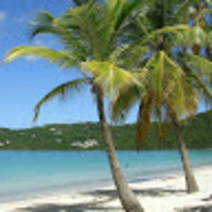 Meet your Posher, Vickie